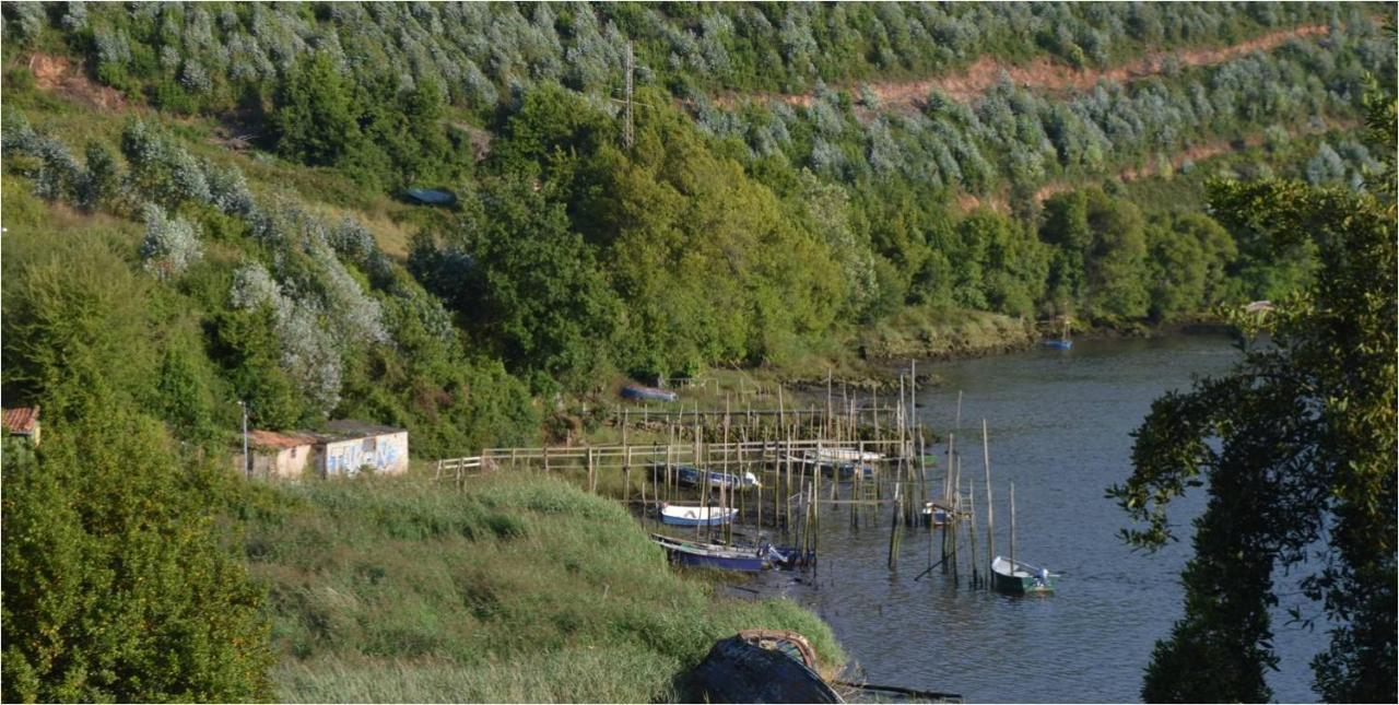 La Quintana Del Castillo Soto Del Barco Eksteriør billede